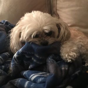 Meet your Posher, Lori